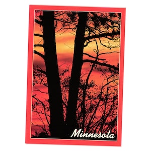 Minnesota-Sonnenuntergang-Schattenbild-Postkarte Dembinski Photo hängt von der Natur des Baums ab