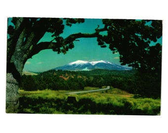US Highway 66 Arizona San Francisco Peaks Vintage Postcard R Fronske RMF9