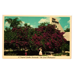 Vintage Postkarte Großes Meisterwerk mit Purpurrotem Bougainvillea See Wales Florida