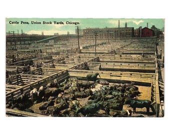 Cattle Pens Union Stock Yards Chicago Vintage Postcard Pre-1940s Unused Ephemera
