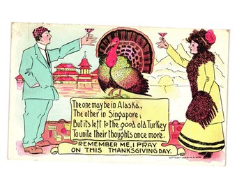 Vintage Thanksgiving Postcard 1908 Illustrated Turkey Toast Artwork Humor Rose
