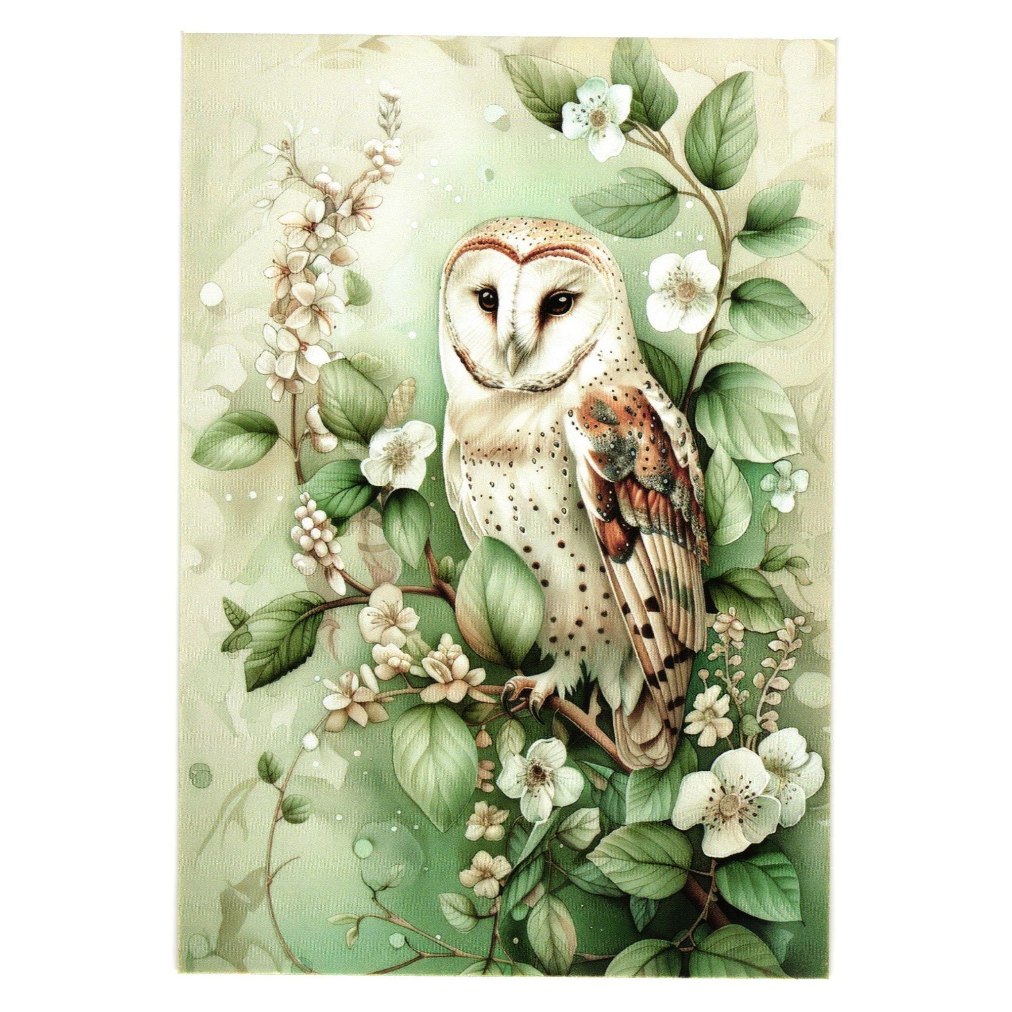 Barn Owl Art Print Nature Postcard Botanical Design Frameable Wall Decor Gift