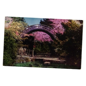 Orientalische Vintage Postkarte Tee Garten Mond Brücke San Francisco Roadside