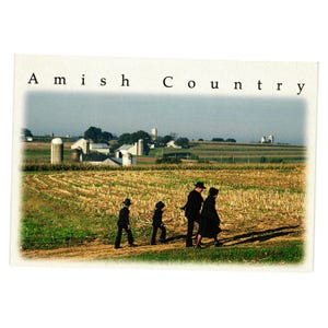 Carte postale pittoresque du pays amish avec une famille marchant sur des terres agricoles Église Religion
