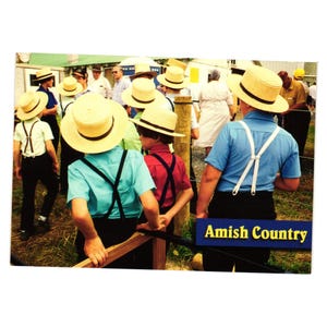Carte postale pays amish représentant des garçons sur une scène de vente aux enchères, vintage 1997