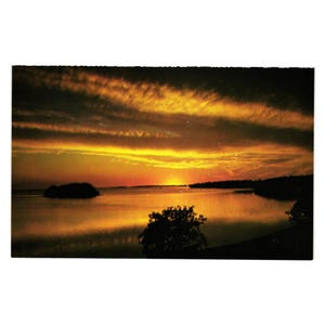 Carte postale vintage Coucher de soleil sur la baie de Floride Parc national des Everglades Peter Allen