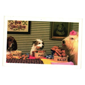 Carte postale vintage Mary Bloom North Shore Animal League Dogs Max Pal Daisy Treats