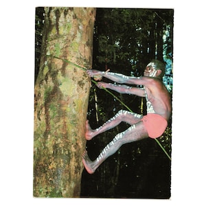 Puede incluir: Fotografía vintage de una persona trepando a un árbol con una cuerda. La persona lleva pantalones cortos rojos y tiene marcas blancas en el cuerpo. El tronco del árbol es marrón y verde, con un fondo de bosque oscuro.