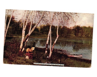 Antique Postcard Study From Nature Twin Cities Minnesota Birch Trees Canoe 1909