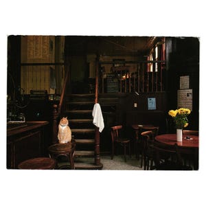 Carte postale vintage 1995 avec un chat dans une scène de vieux café 1985 Timbre Old Glory San Jose