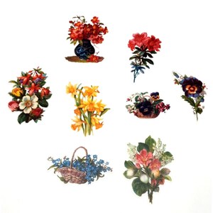 Scrapbook Vellum Floral Stickers Vintage Style Cards Memory Books Crafts Set 8C