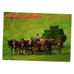 Carte postale pittoresque pays amish Kurt Rhody Allemagne 1997 vintage scène de ferme chevaux