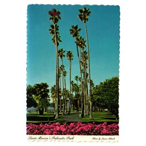 Vintage Santa Monica Palisades Park Postkarte Palmen Blumen Rosen Straßenrand