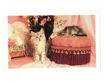 Carte postale vintage avec des chatons par Mary Bloom Crazy Cat Lady Rose Shabby Chic Lace