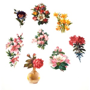 Scrapbook Vellum Floral Stickers Vintage Style Cards Memory Books Crafts Set 8B