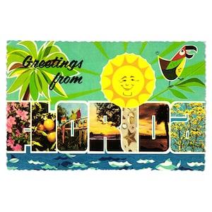 Vintage 1960er Jahre Greetings From Florida Postkarte Reise Urlaubs Souvenir Ausgebogt