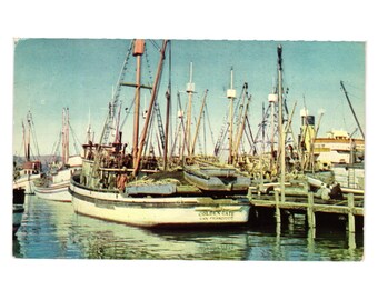 Vintage Fishermans Wharf Boats San Francisco Color Postcard SF 14 Mirro Card