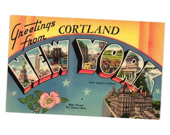 Vintage Postcard Greetings From Cortland New York Albany Tourist Empire State