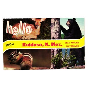 Vintage Dexter Press carte postale Ruidoso Nouveau-Mexique faune chevreuil ours tamia