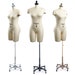 see more listings in the Professional Dressforms section