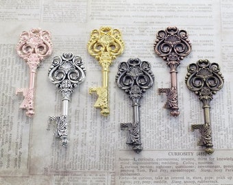 Mixed 50 pcs Skeleton Keys bottle openers Medieval Victorian Leaf Scroll Vintage Keys with Swirl Design Fleur De Lis Key Double Sized