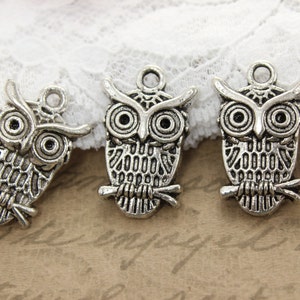 10 Antique Silver Owl Charms 22x13MM Ships quickly from Oregon