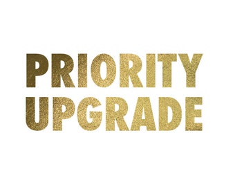 Priority 2-3 Business Day Shipping Upgrade