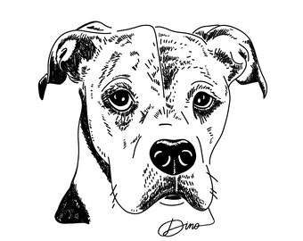 Custom Pet Portrait | Digital Download