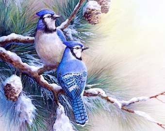 Blue jay Sitting on Pine Tree on Snowy Winter Day: Watercolor Painting Giclee Print