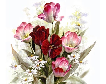 Tulipany w kolorze bordowym, różowym i białym: wydruk artystyczny akwarelowy