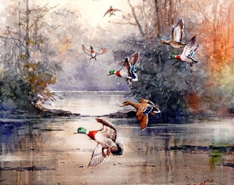 Kaczki na jeziorze Wydruk artystyczny akwareli - Las, Dzikie zwierzęta, Drzewa, Jezioro, Natura