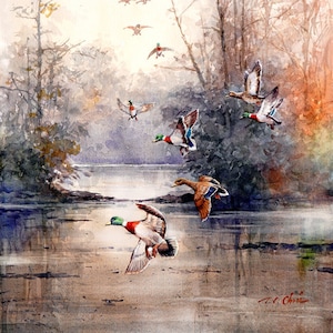 Enten auf dem See Kunstdruck Aquarellmalerei - Wald Wildlife, Bäume, See, Natur
