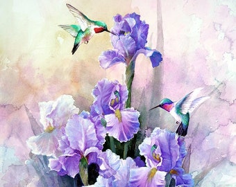 Hummingbirds and Purple Iris,  Archival Print of Watercolor Painting