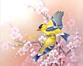 Yellow Birds on Cherry Blossoms Pink Flowers - Watercolor Painting Giclee Art Print