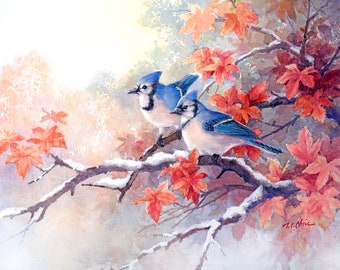 Blue Jay and  Maples - Art Print of Watercolor Painting