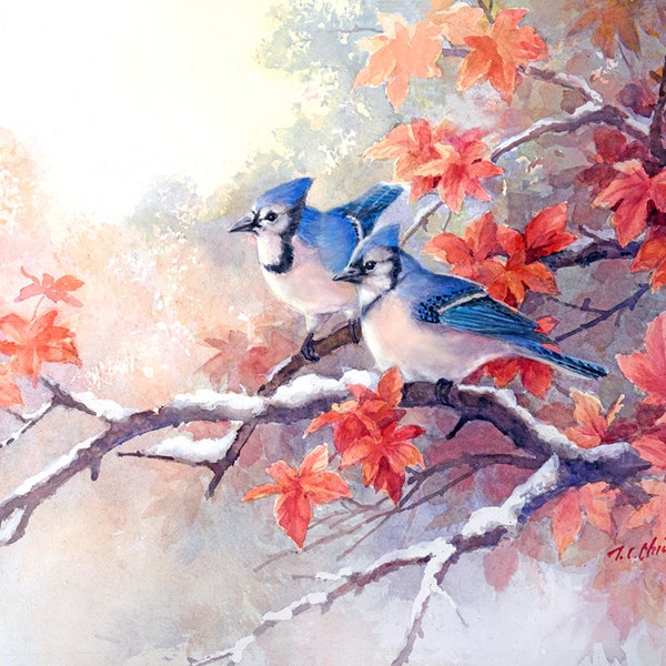 Blue Jay and  Maples - Art Print of Watercolor Painting