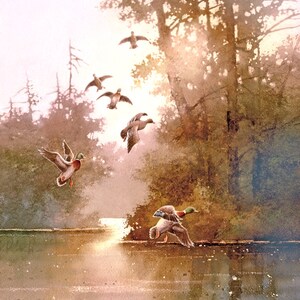 Enten fliegen über den See bei Sonnenaufgang: Aquarell Malerei Kunstdruck
