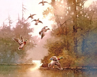 Kaczki latające nad jeziorem o wschodzie słońca: wydruk artystyczny akwarelowy