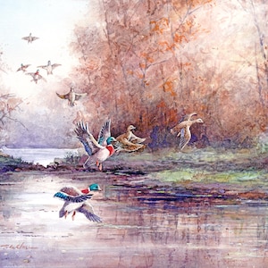 Enten fliegen über den Fluss Aquarell Malerei Kunstdruck - Wald Wildtiere, Bäume, See, Natur