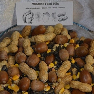 May include: A glass bowl filled with a wildlife feed mix. The mix contains black sunflower seeds, Utah acorns, corn, and peanuts. The bowl is on a light brown fabric background.