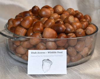 Acorn Wildlife Feed Chemical-Free Hot Washed & Heat Dried Utah Red Oak Acorns. For Birds, Squirrel, Deer, Chipmunk, Turkey, Ducks, Rabbit +