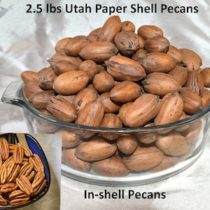 May include: A glass bowl filled with 2.5 pounds of Utah paper shell pecans. The pecans are in their shells and are a light brown color. The bowl is sitting on a white surface. The text "In-shell Pecans" is written below the bowl.