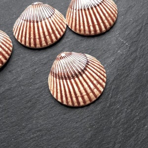 Ceramic Scallop Clam Shell Pendant Handmade Focal, Glazed Artisan Charm for Jewelry Making, Handcrafted Pottery Findings, 37mm, 1pc