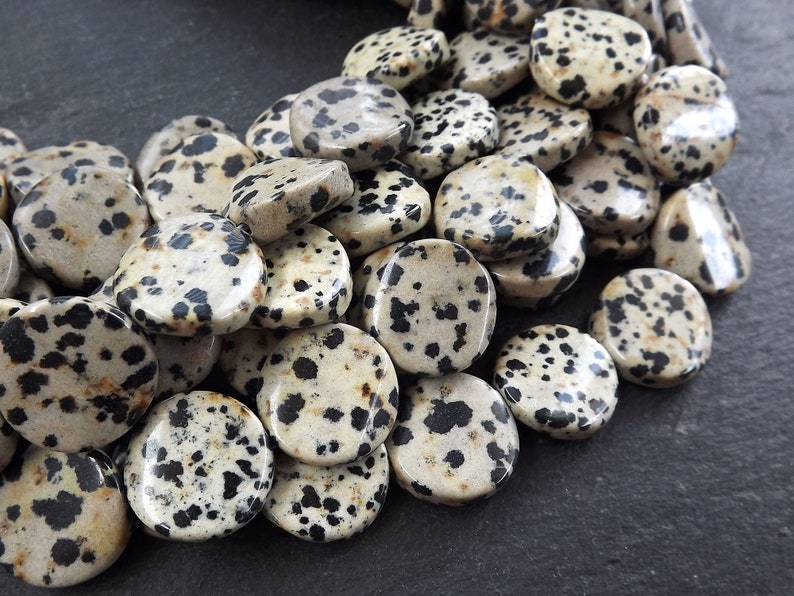 18mm Dalmatian Jasper Round Flat Coin Disc Beads Gemstone image 0