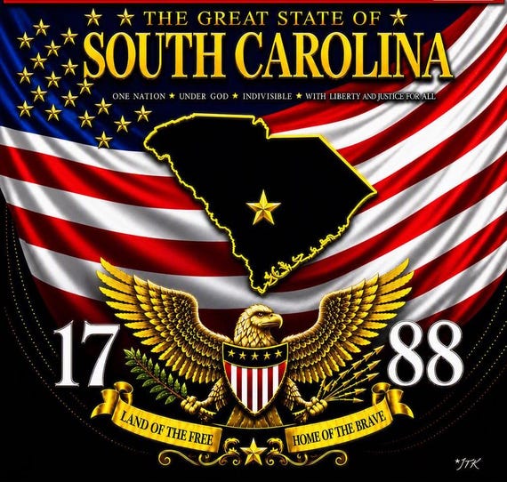 South Carolina* United States of America *USA 50 States American Flag Shirt* 2-Sided Vinyl Shirt.  JTK Original