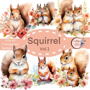 Cute squirrel Vol.1 with flower water color Gift Budle of 29 PNG Transparent Background Digital Download With Commercial Use