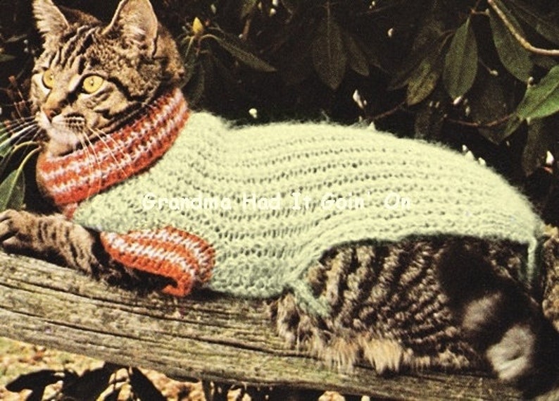 Cat Sweater Knitting Pattern 70s Cat Coat Mohair Sweater Etsy UK