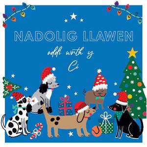以下が含まれることがあります： サンタ帽をかぶった犬の漫画が描かれた、青色のクリスマスカード。「NADOLIG LLAWEN」と「oddí wrth y Ci」の文字、クリスマスツリー、プレゼント、装飾ライトが描かれています。お祝いの楽しいデザインです。