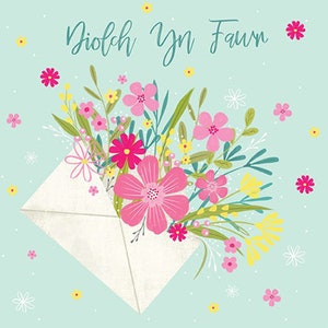 Diolch Yn Fawr 'Muchas gracias'
