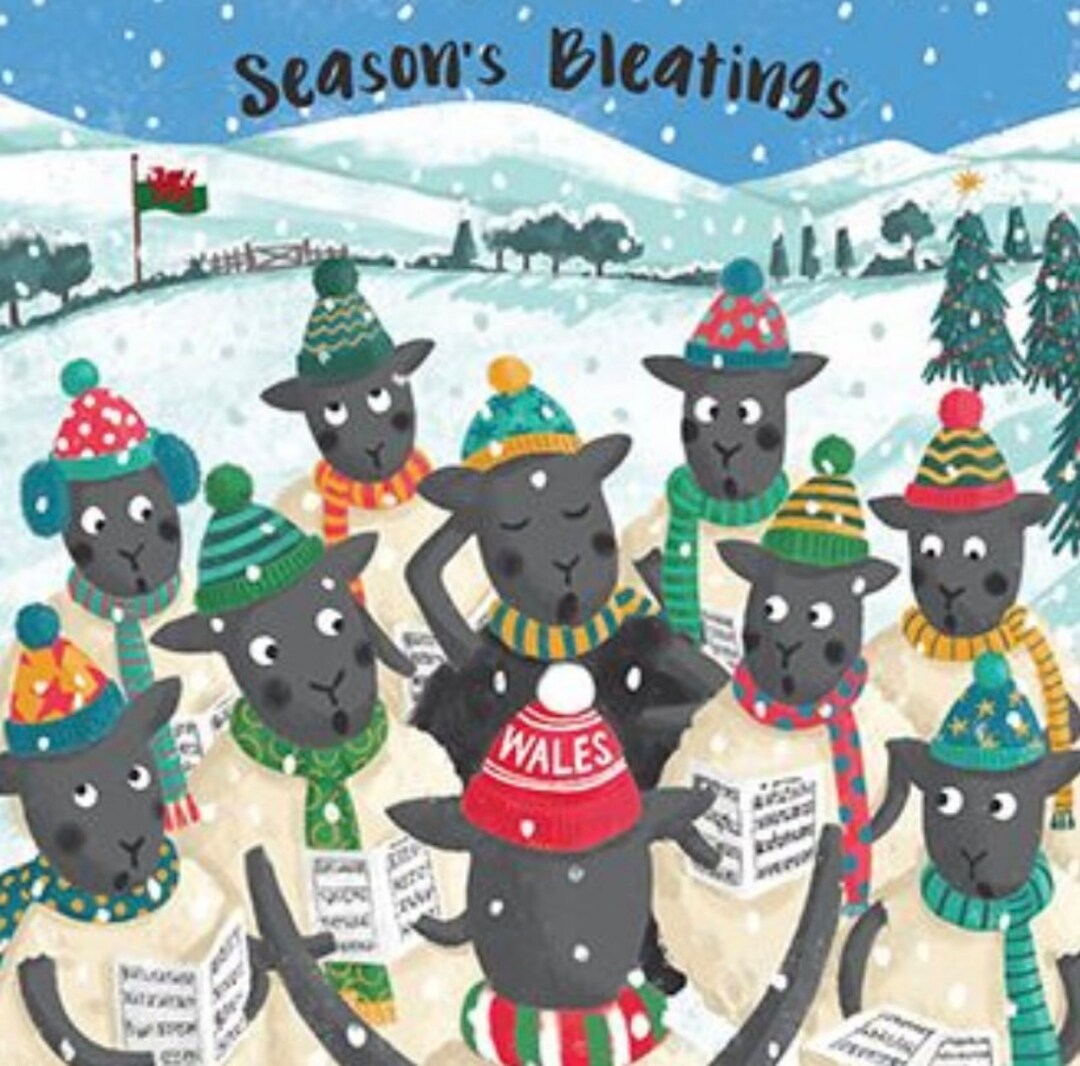 Seasons Bleatings Woolies Card Pack X 5 Etsy UK